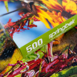 Summer Hummingbird Birds