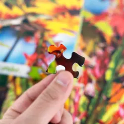 Summer Hummingbird Birds