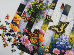 Butterfly Haven - Scratch and Dent Butterflies and Insects