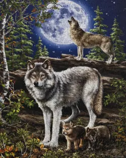 Wolf Pack Wolf
