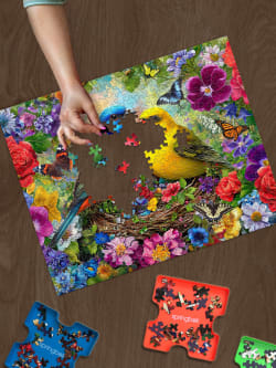 Spring Birds Serenade Birds