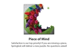 Twist of Color Educational