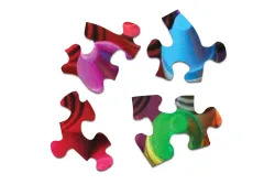 Twist of Color Educational