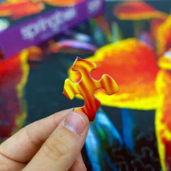 Maderna Canna Lily Flower & Garden