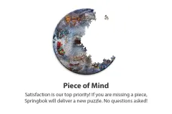 Winter Wonderland Winter