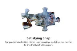 Winter Wonderland Winter