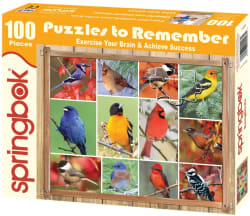 Puzzles to Remember: Songbirds Birds