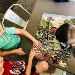 Barnyard Animals Farm Animal