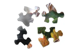 Mountain Express Mountain