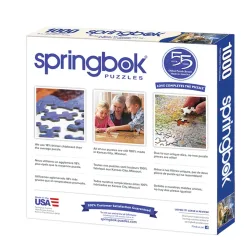 Savior is Born Religious