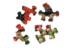 Farm Fresh Fruit & Vegetable