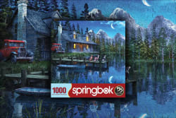 Moonlit Night Nature