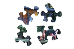 Moonlit Night Nature