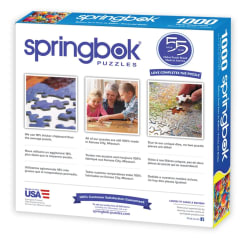 Balloon Fest Hot Air Balloon