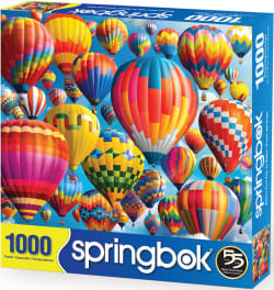 Balloon Fest Hot Air Balloon