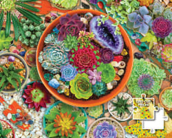 Succulent Garden Flower & Garden