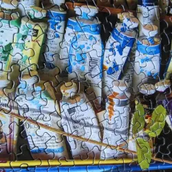 An Unexpected Mews Cats