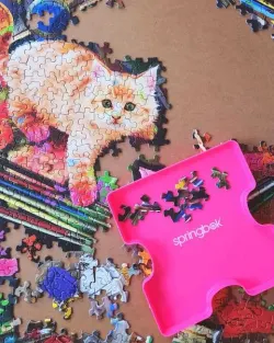 An Unexpected Mews Cats