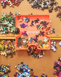 An Unexpected Mews Cats