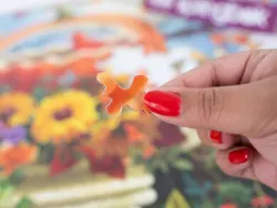 Bountiful Bird Feeder Limited Release Birds