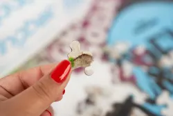 Bottle Caps Limited Release Food and Drink