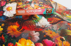 Hummingbird Dream Birds