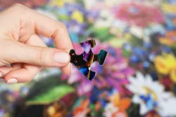 Summer Flower Garden Flower & Garden