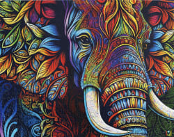Elephant Mandala Animals