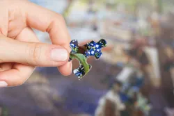 Vineyard Porch Europe