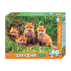 Fox Pups Den Animals