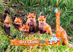 Fox Pups Den Animals