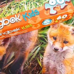 Fox Pups Den Animals