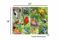 Puzzles to Remember: Birds of A Feather Birds