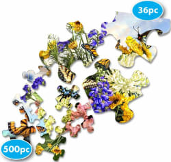 Butterfly Blossom Butterflies and Insects