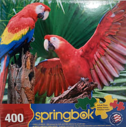 Scarlet Macaw Birds