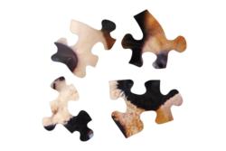 Playtime Puppies Dogs Jigsaw Puzzle