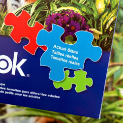 Hidden Tigers  Big Cats