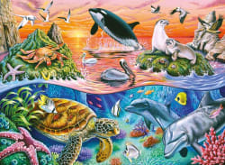 Beautiful Ocean Sea Life