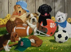 Let's Play Ball! Dogs