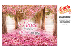 God's Peace Religious