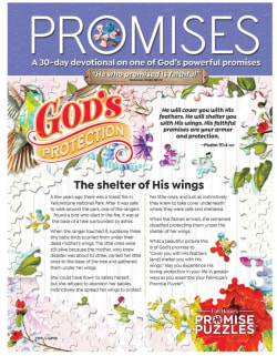 God's Protection Religious