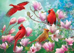 Puzzle Collector - 4 In1 - Songbirds Birds