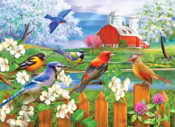 Puzzle Collector - 4 In1 - Songbirds Birds
