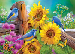 Puzzle Collector - 4 In1 - Songbirds Birds