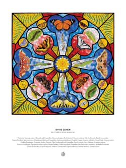 David Cohen: Butterfly Rose Window Butterflies and Insects