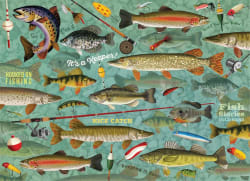 Something's Amiss! - It&rsquo;s A Keeper Fish