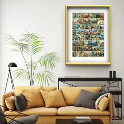 National Parks Collage