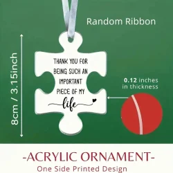 Cherished Friendship Acrylic Puzzle Ornament -
