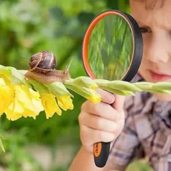 Large Magnifying Glass 10X Handheld Reading Magnifier for Seniors & Kids