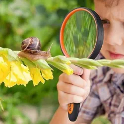 Large Magnifying Glass 10X Handheld Reading Magnifier for Seniors & Kids